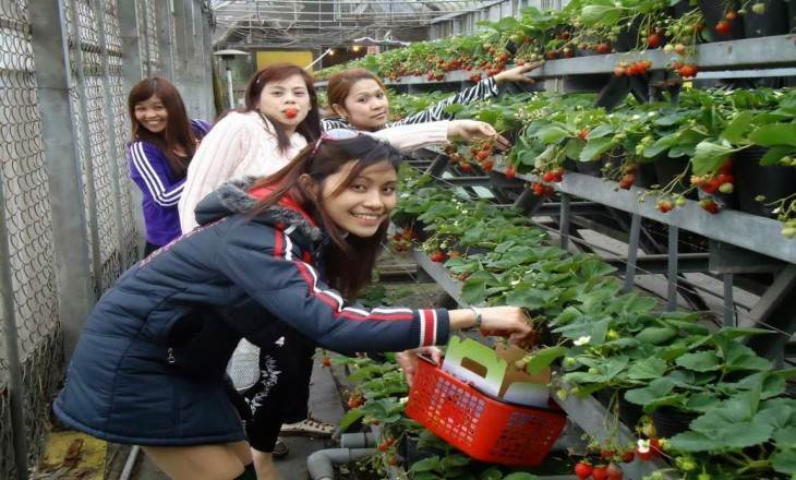 Tham quan vườn thú ZooDoo Dalat