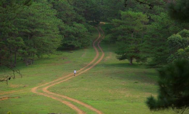 TREKKING CÂY THÔNG CÔ ĐƠN