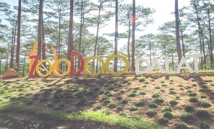 Tham quan vườn thú ZooDoo Dalat